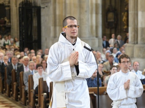 Vorschaubild 8 vom Album Priesterweihe von Br. Niklas Müller
