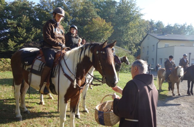 Symbolfoto zum Artikel: Pferdesegnung
